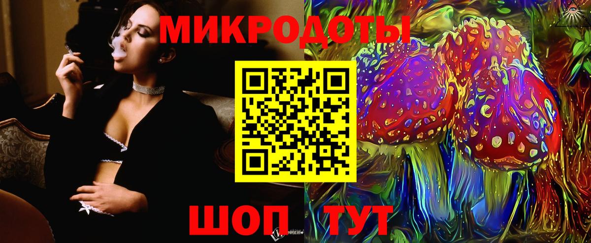 Светлоград  Псилоцибиновые грибы Psilocybine cubensis  Вход с VPN 